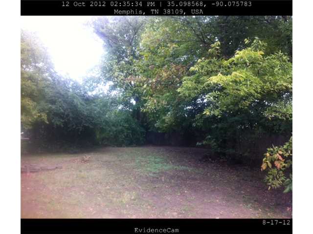 1796 Riverside Boulevard Memphis, TN 38109 - Photo 2 of 6