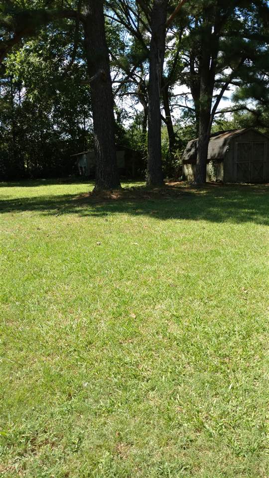 323 Sycamore Road Collierville, TN 38017 - Photo 15 of 16 Gallery Image 15