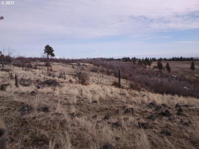 Jensen Quarry Road, Unit 54 Roosevelt, WA 99356 - Photo 1 of 6 Gallery Image 1