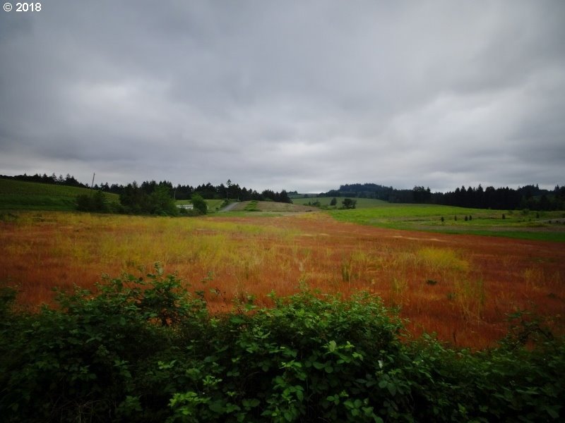Lone Star Road Salem, OR 97304 - Photo 8 of 25 Gallery Image 8