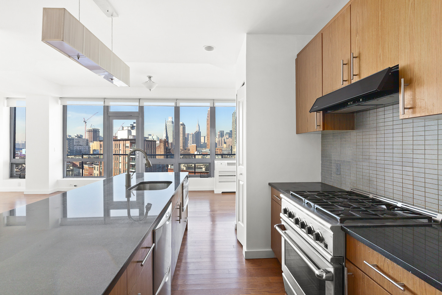 48-15 11th Street, Unit 8A Queens, NY 11101 - Photo 4 of 6