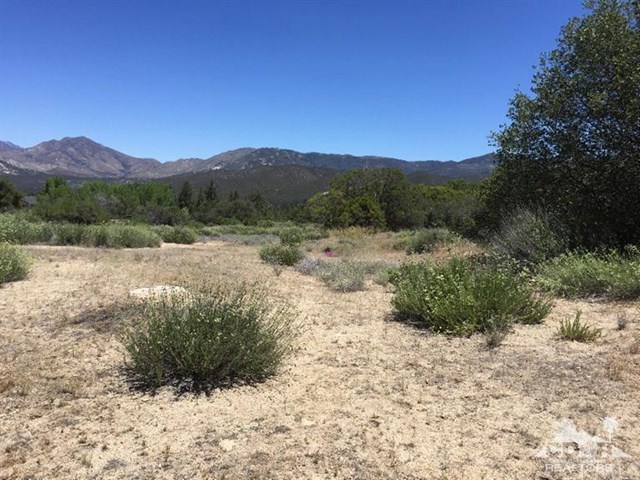 40 Hop Patch Spring Road Mountain Center, CA 92561 - Photo 3 of 9
