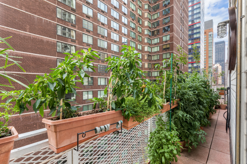 240 East 55th Street, Unit PHC Manhattan, NY 10022 - Photo 10 of 11