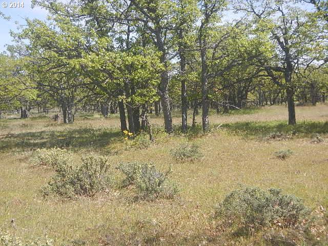 82 Old Mountain Road Goldendale, WA 98620 - Photo 7 of 10 Gallery Image 7