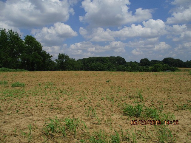 0 Burks Road Henning, TN 38063 - Photo 2 of 5