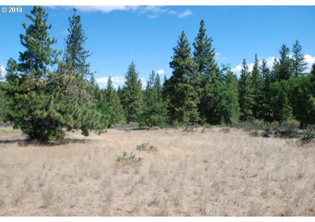 Chambers Goldendale, WA 98620 - Photo 1 of 16 Gallery Image 1