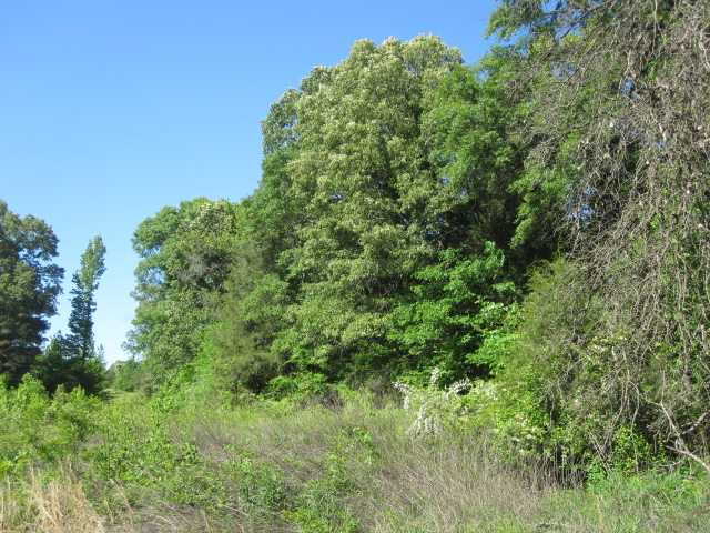 0 Boatner Road Road Potts Camp, MS 38659 - Photo 9 of 12 Gallery Image 9