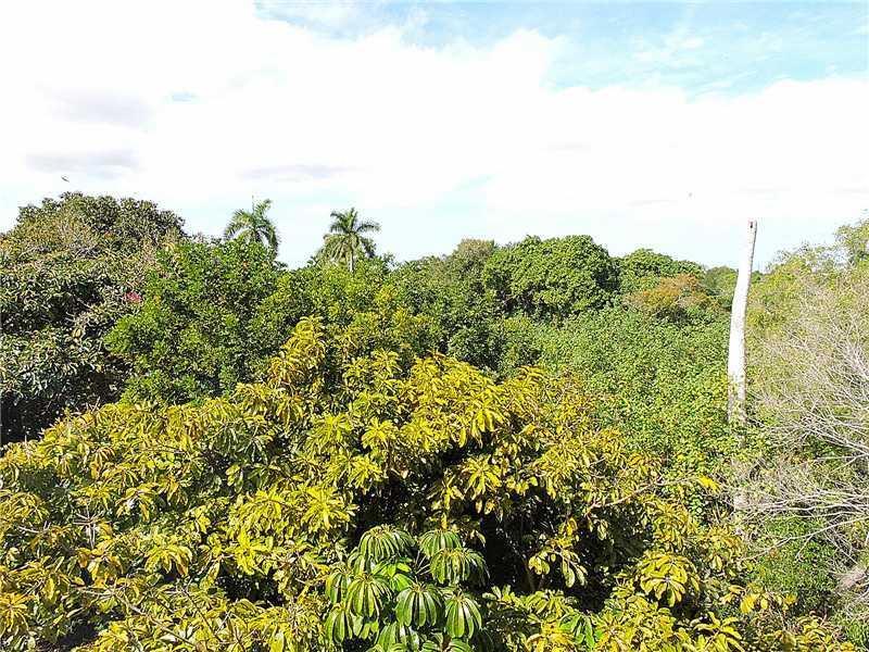 501 Southwest 11th Place, Unit 401A Boca Raton, FL 33432 - Photo 11 of 14