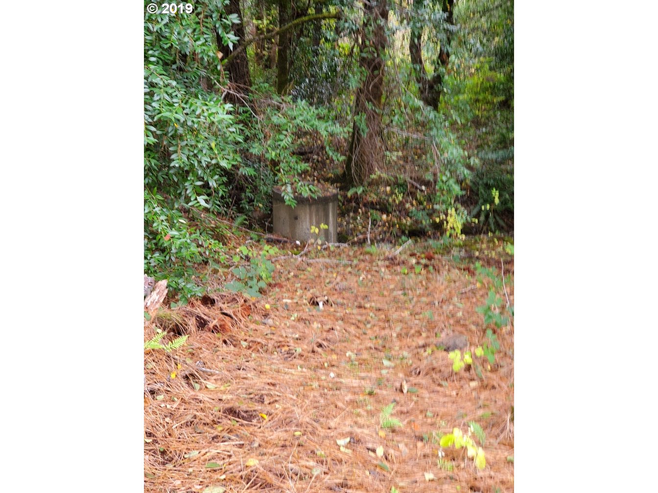 4580 Old House Creek Road Agness, OR 97406 - Photo 31 of 31