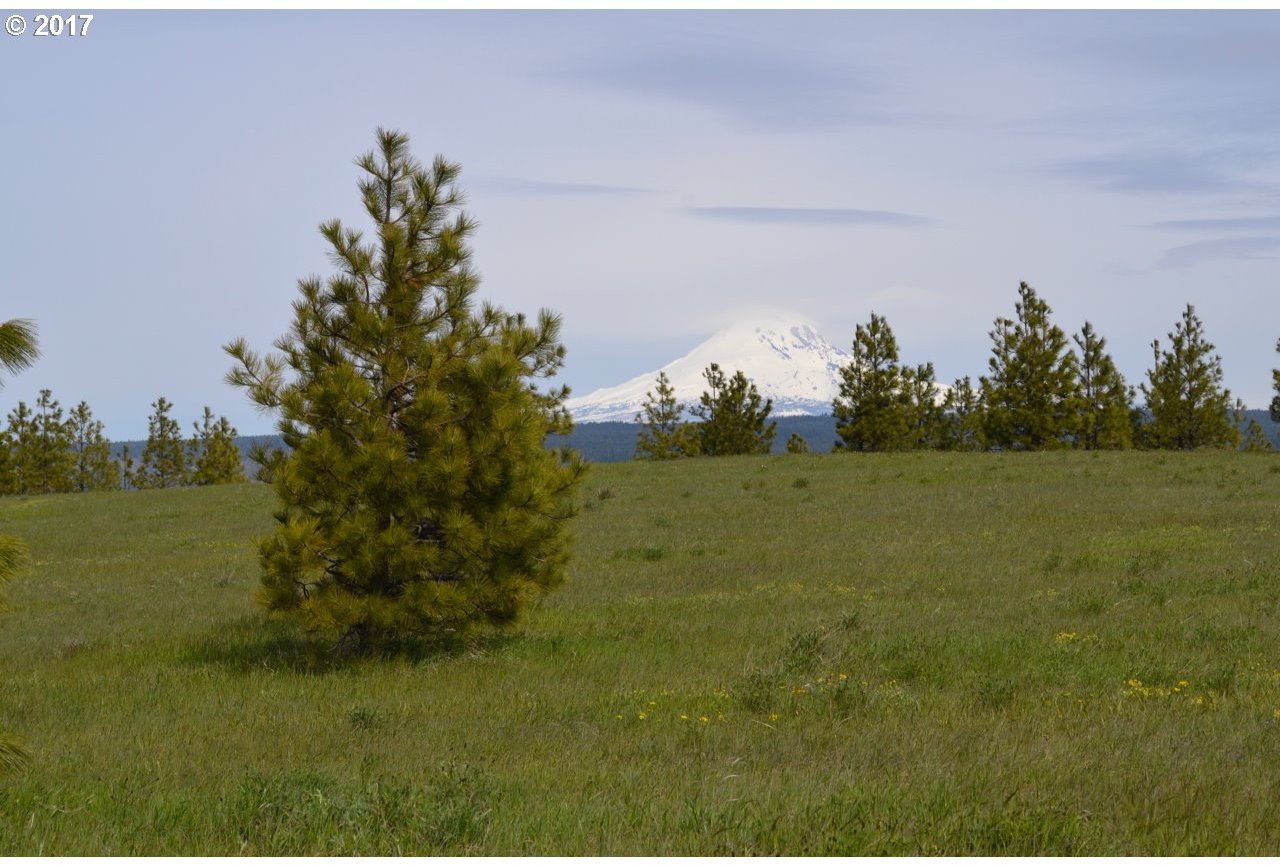 Red Tail Road Lyle, WA 98635 - Photo 20 of 30 Gallery Image 20