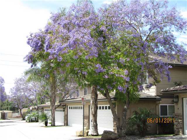 8980 Lamar Street, Unit 7 Spring Valley, CA 91977 - Photo 3 of 6 Gallery Image 3