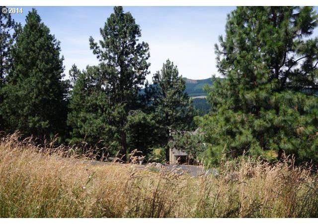 1145 Rodeo Drive White Salmon, WA 98672 - Photo 10 of 16 Gallery Image 10