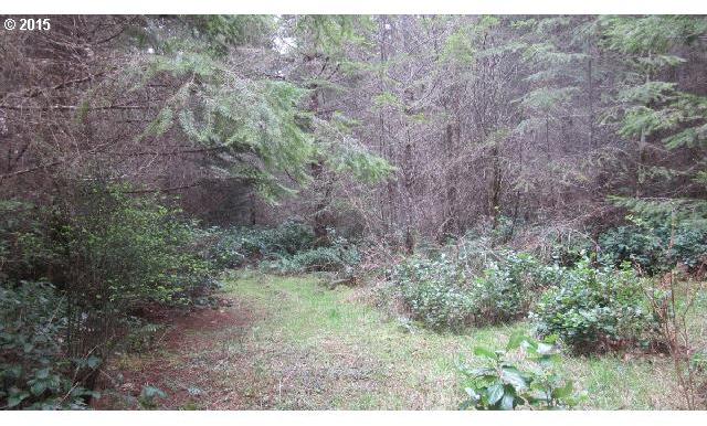 Bear View Drive Chehalis, WA 98532 - Photo 1 of 16 Gallery Image 1