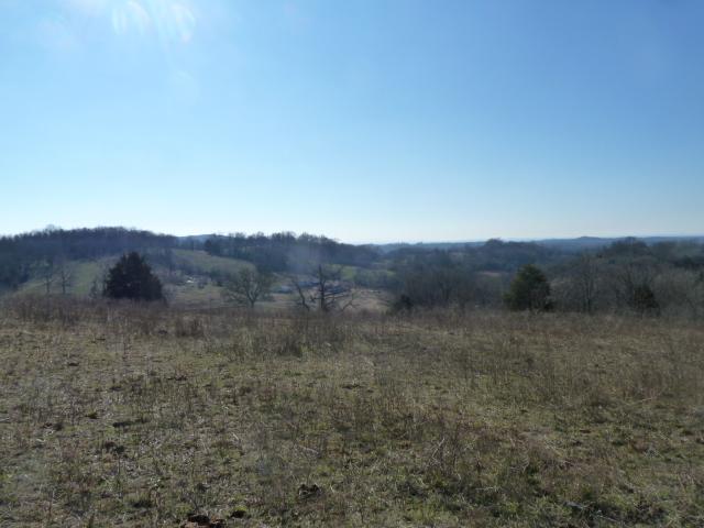 6888 Choctaw Road College Grove, TN 37046 - Photo 6 of 27 Gallery Image 6