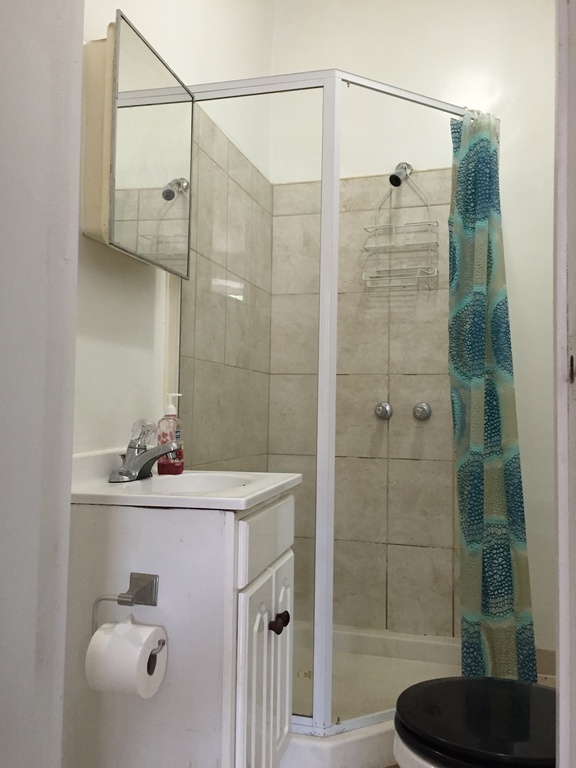 548 Hancock Street, Unit 4 Brooklyn, NY 11233 - Photo 6 of 8