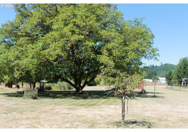 8954 Nonpareil Road Sutherlin, OR 97479 - Photo 1 of 5