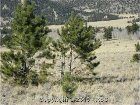 7836 Boulder Road Lake George, CO 80827 - Photo 3 of 3