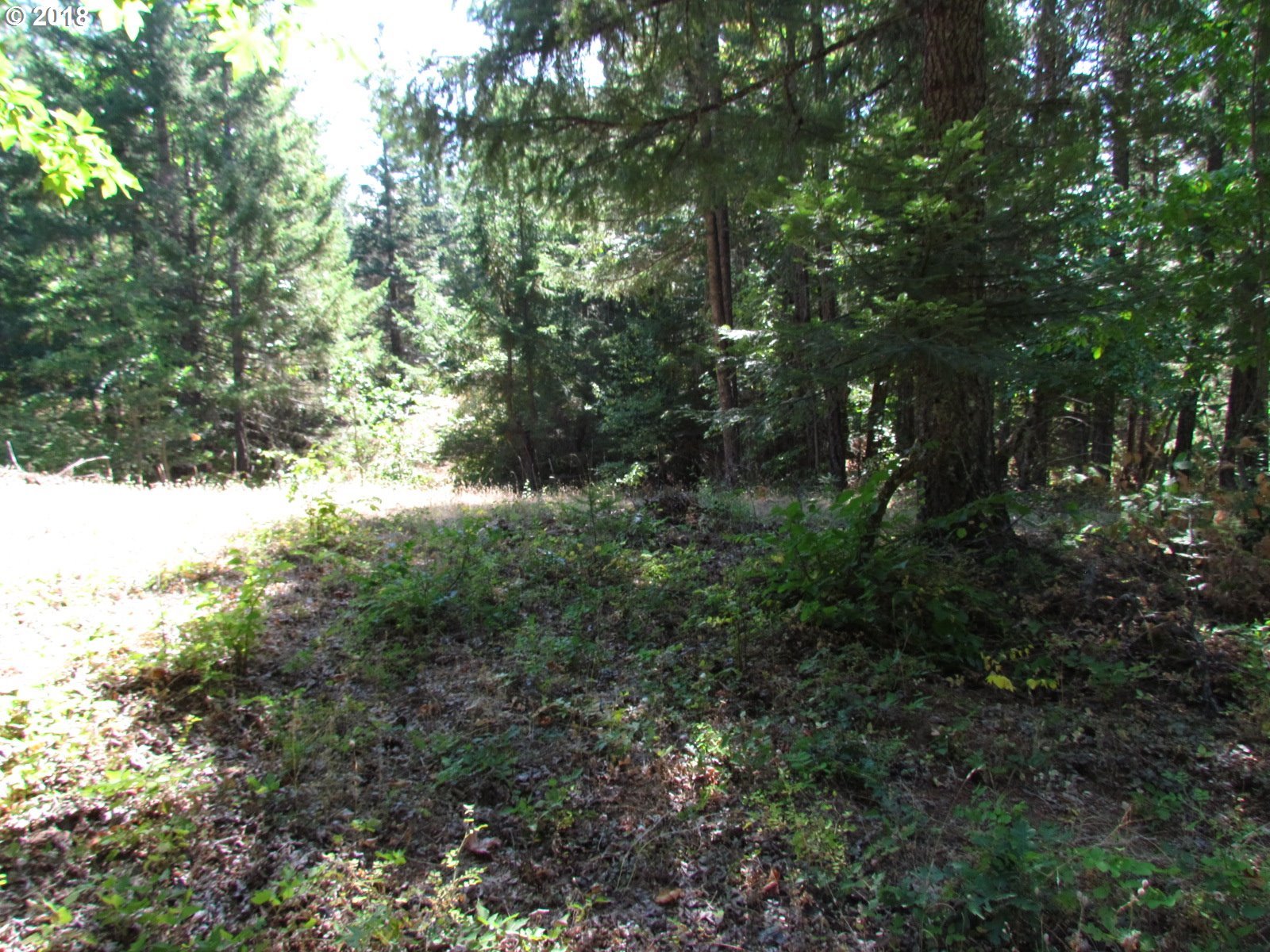 16 Debo Road White Salmon, WA 98672 - Photo 14 of 31 Gallery Image 14