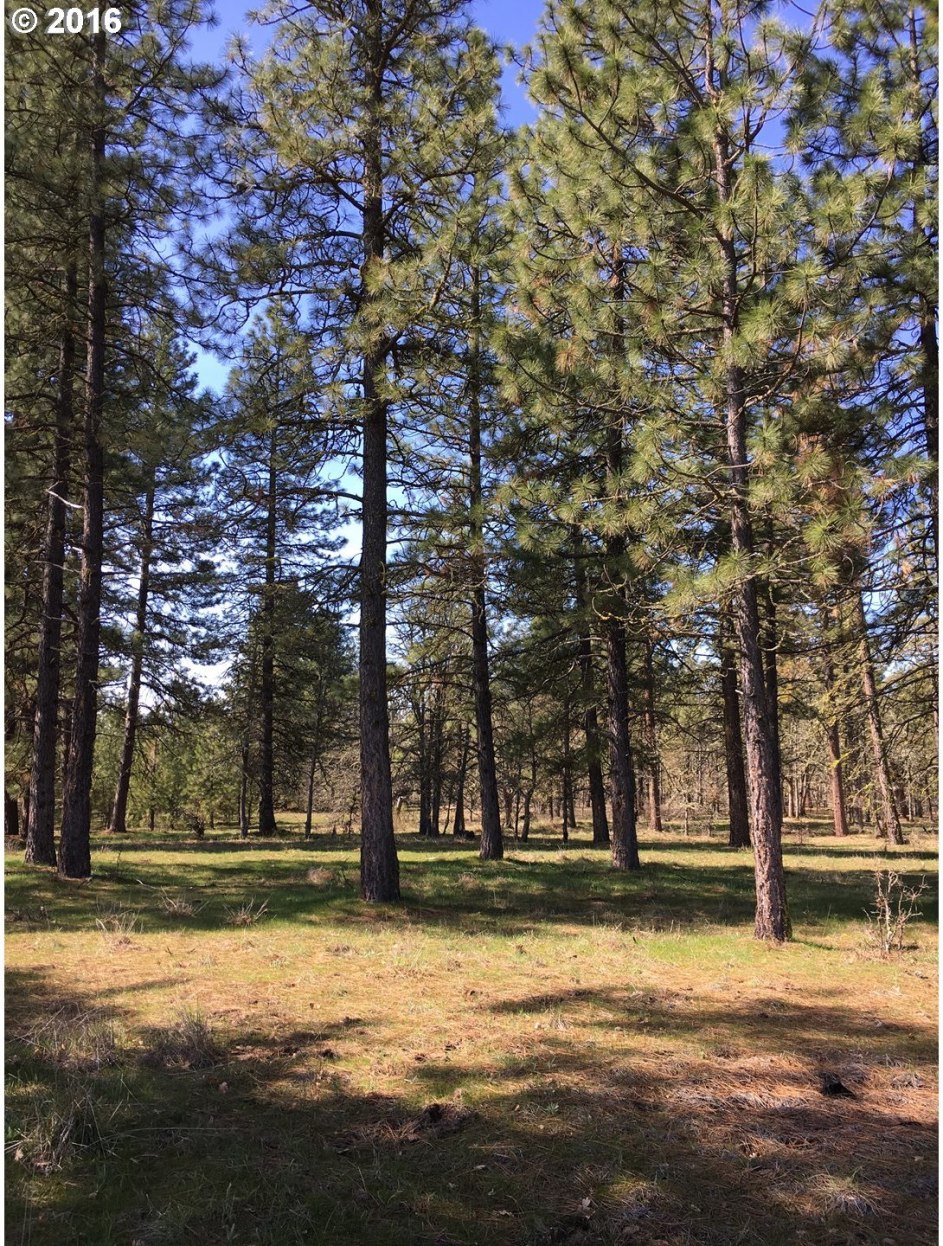 Whispering Pines Goldendale, WA 98620 - Photo 1 of 12