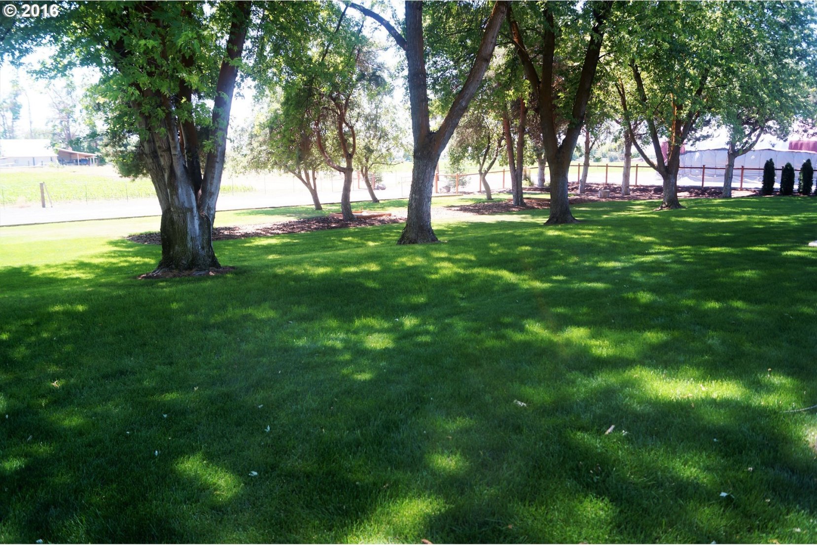78805 North Loop Road Stanfield, OR 97875 - Photo 4 of 31