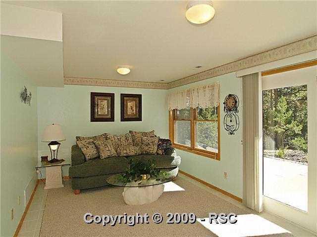 11915 Murphy Road Elbert, CO 80106 - Photo 9 of 16 basement familyroom