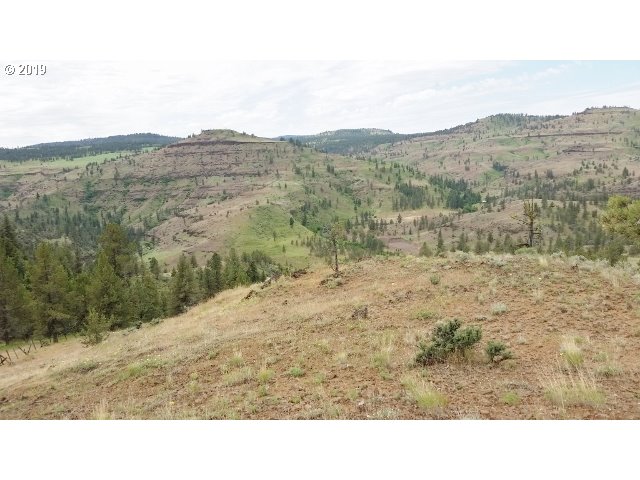 0 Wall Creek Road Monument, OR 97864 - Photo 10 of 27