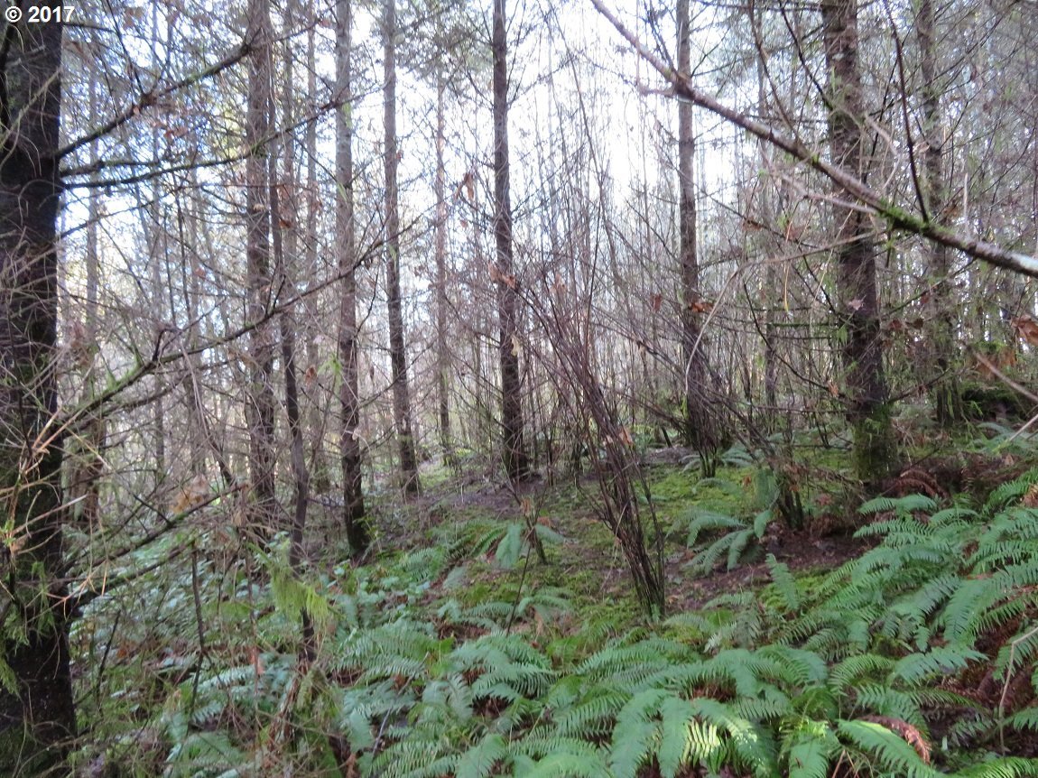 Cousins Road, Unit 3 Chehalis, WA 98532 - Photo 29 of 32