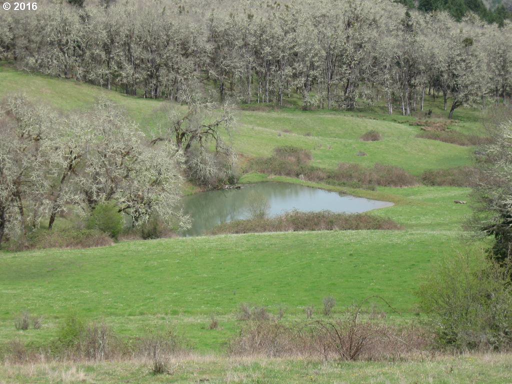 0 Sparks Road Oakland, OR 97462 - Photo 11 of 18 Gallery Image 11