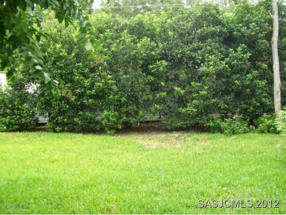 997 Ridgewood Lane St. Augustine, FL 32086 - Photo 2 of 19 Backyard