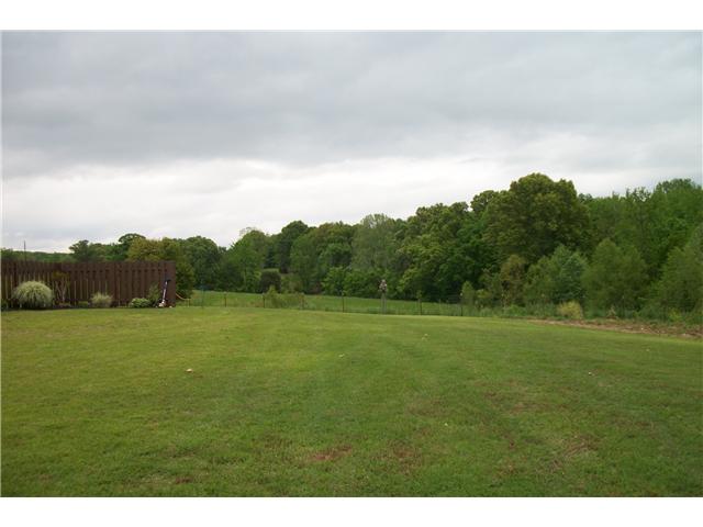 2760 Junius Lee Road Ripley, TN 38063 - Photo 20 of 22 Another great view!