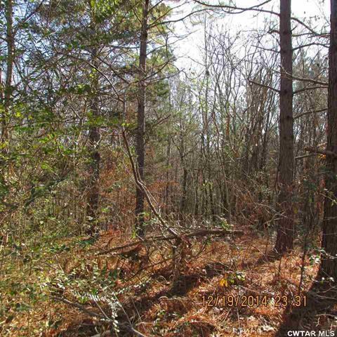 0 Front Road Road Toone, TN 38381 - Photo 4 of 9
