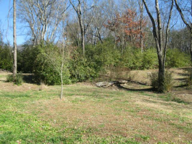 0 Frye Road Columbia, TN 38401 - Photo 6 of 12 Gallery Image 6