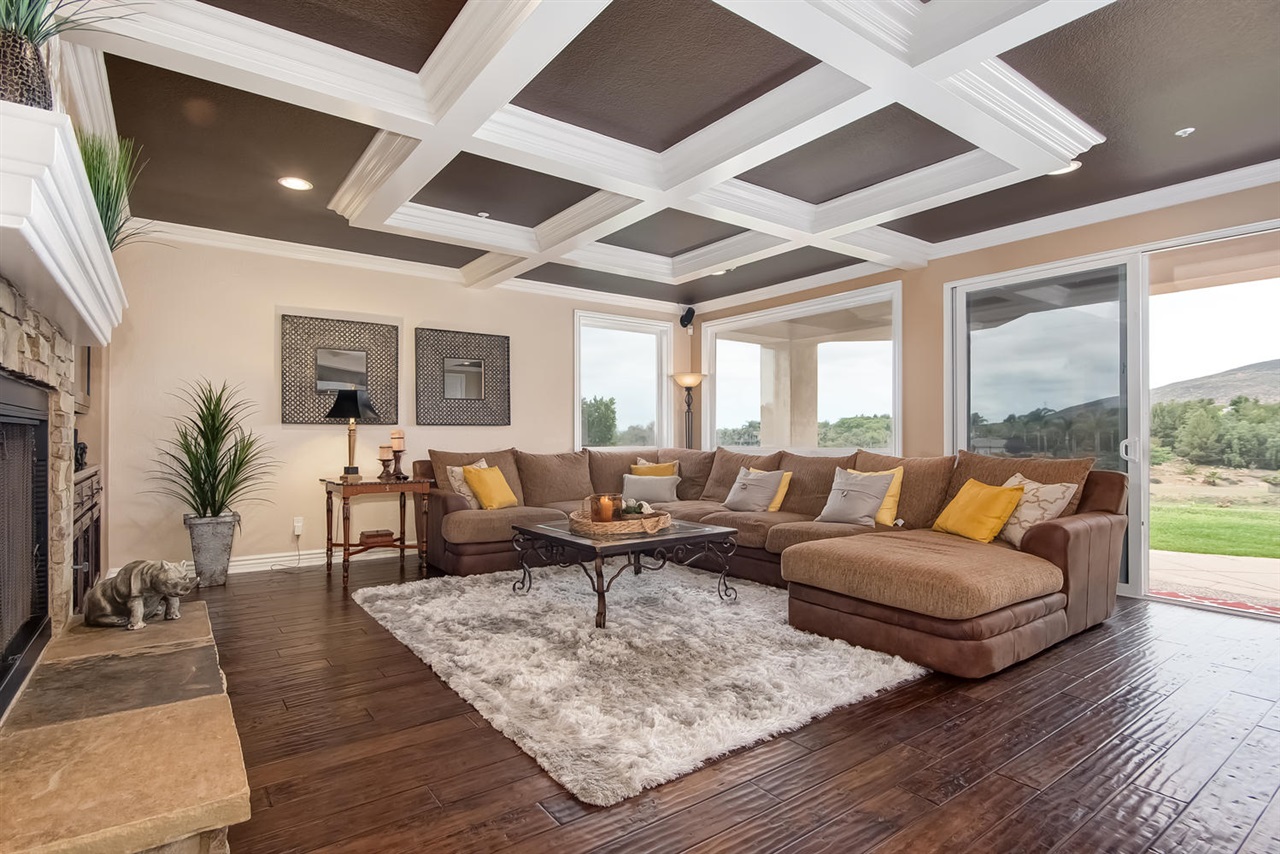 512 Latigo Row Encinitas, CA 92024 - Photo 9 of 25 Generous family room with fireplace, custom ceiling and stunning views.