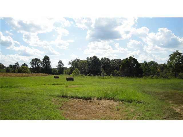 161 Rice Chapel Road Lamar, MS 38642 - Photo 10 of 12 Back yard