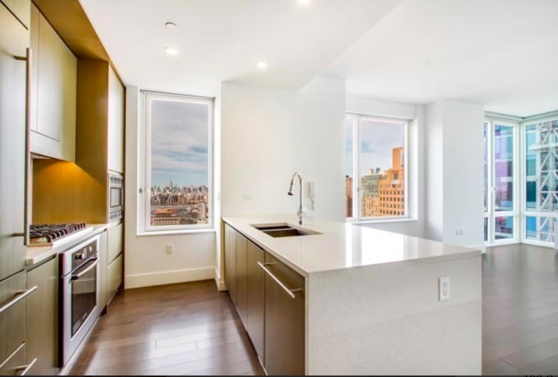 388 Bridge Street, Unit 33G Brooklyn, NY 11201 - Photo 2 of 13