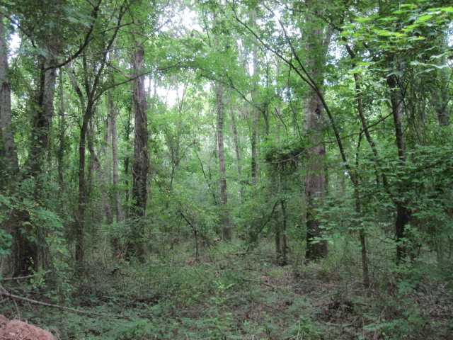 0 Potts Camp Road Potts Camp, MS 38659 - Photo 9 of 11 Gallery Image 9