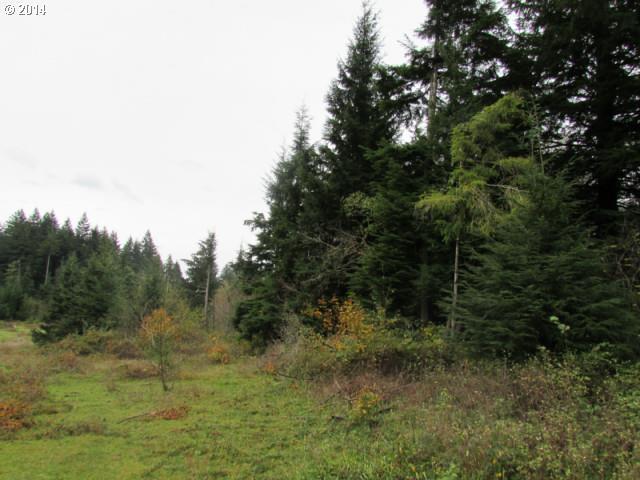 Skye Road Washougal, WA 98671 - Photo 8 of 11