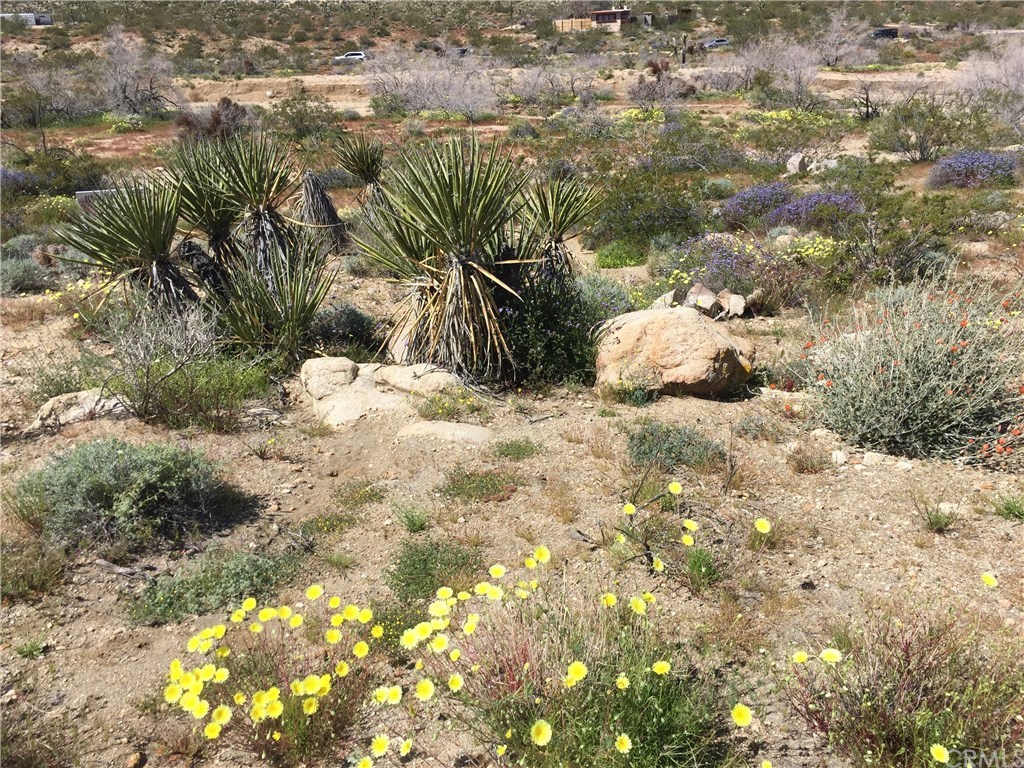 8140 Skyline Drive Joshua Tree, CA 92252 - Photo 5 of 27 The center on the five acres