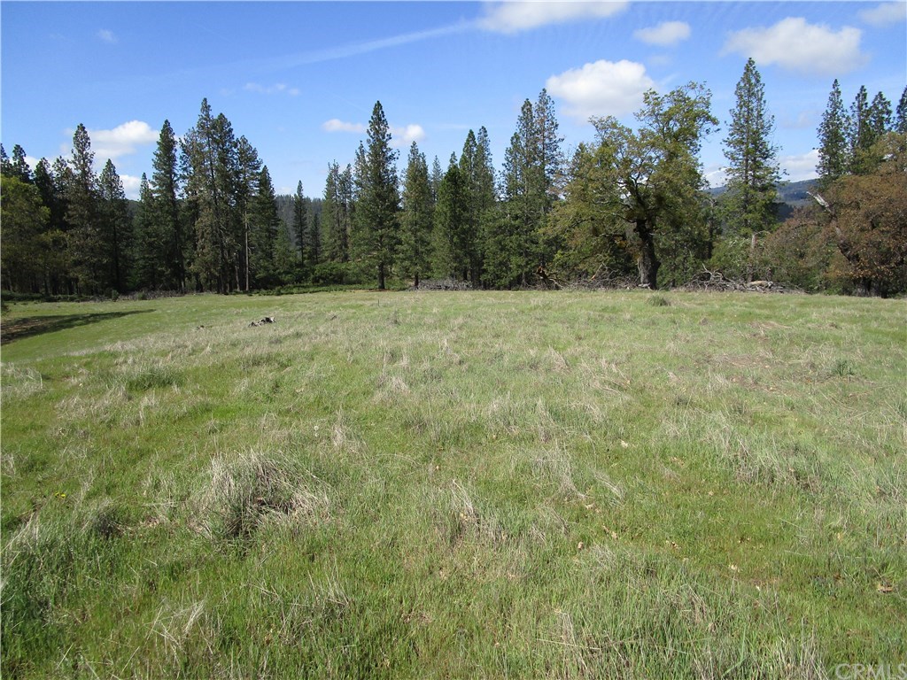 4960 Bartlett Springs Road Nice, CA 95464 - Photo 1 of 1 Gallery Image 1