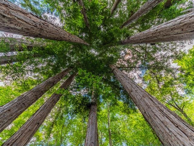 2551 Branciforte Drive Santa Cruz, CA 95065 - Photo 16 of 64