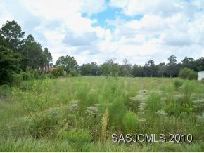 0 Owl Creek Road St. Augustine, FL 32092 - Photo 2 of 4 Over 600 feet deep