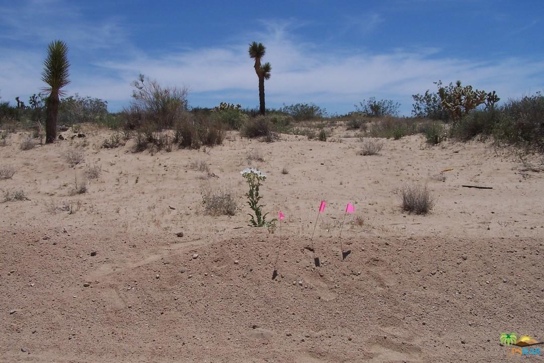 0 Jack Rabbit Lane Landers, CA 92285 - Photo 1 of 11 Gallery Image 1