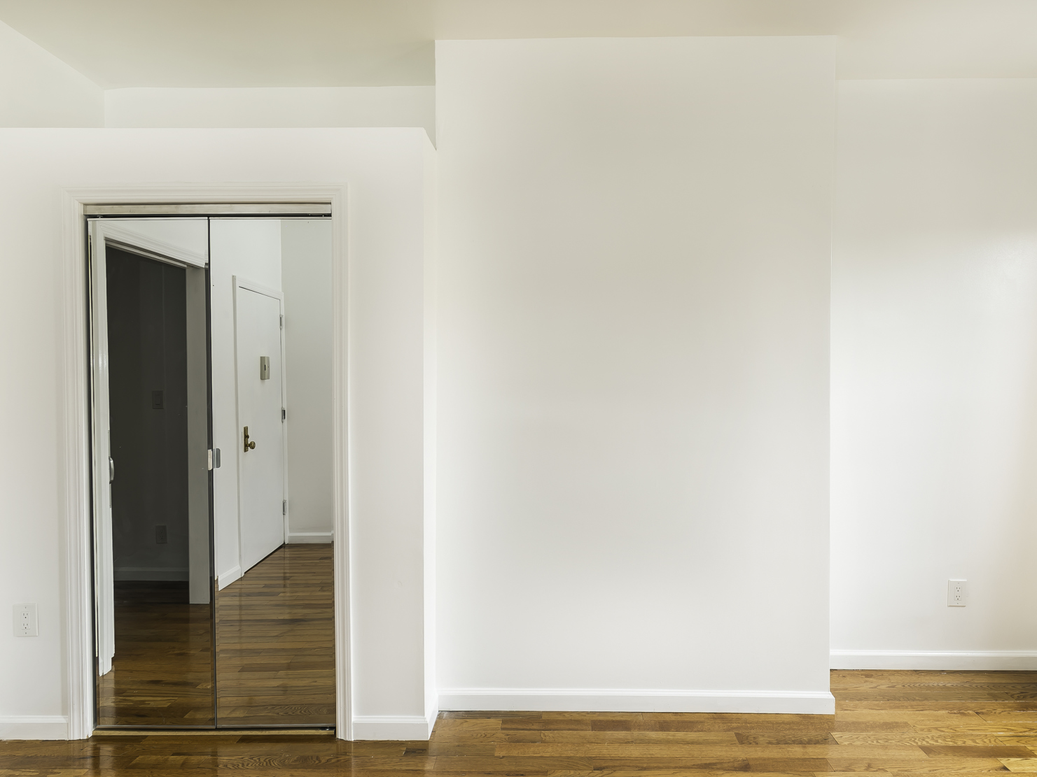 213 North 7th Street, Unit 2S Brooklyn, NY 11211 - Photo 4 of 8