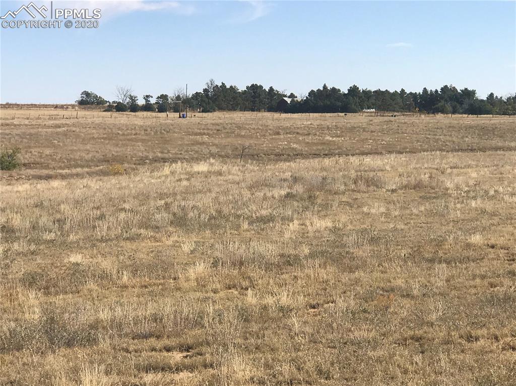 Rapp Road Rush, CO 80833 - Photo 8 of 40