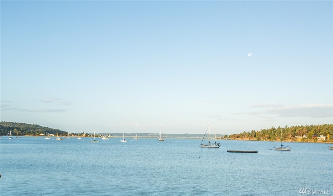 Dragon Run Road Lopez Island, WA 98261 - Photo 22 of 25