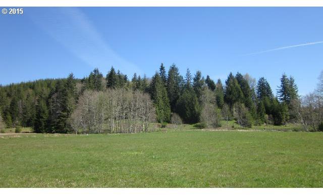 Doyle Road, Unit 4 Raymond, WA 98577 - Photo 14 of 16 Gallery Image 14