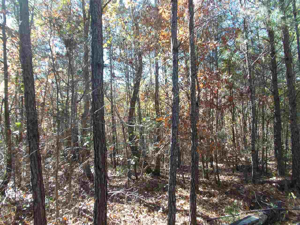 2411 South Gin Road Ramer, TN 38367 - Photo 10 of 15 Gallery Image 10