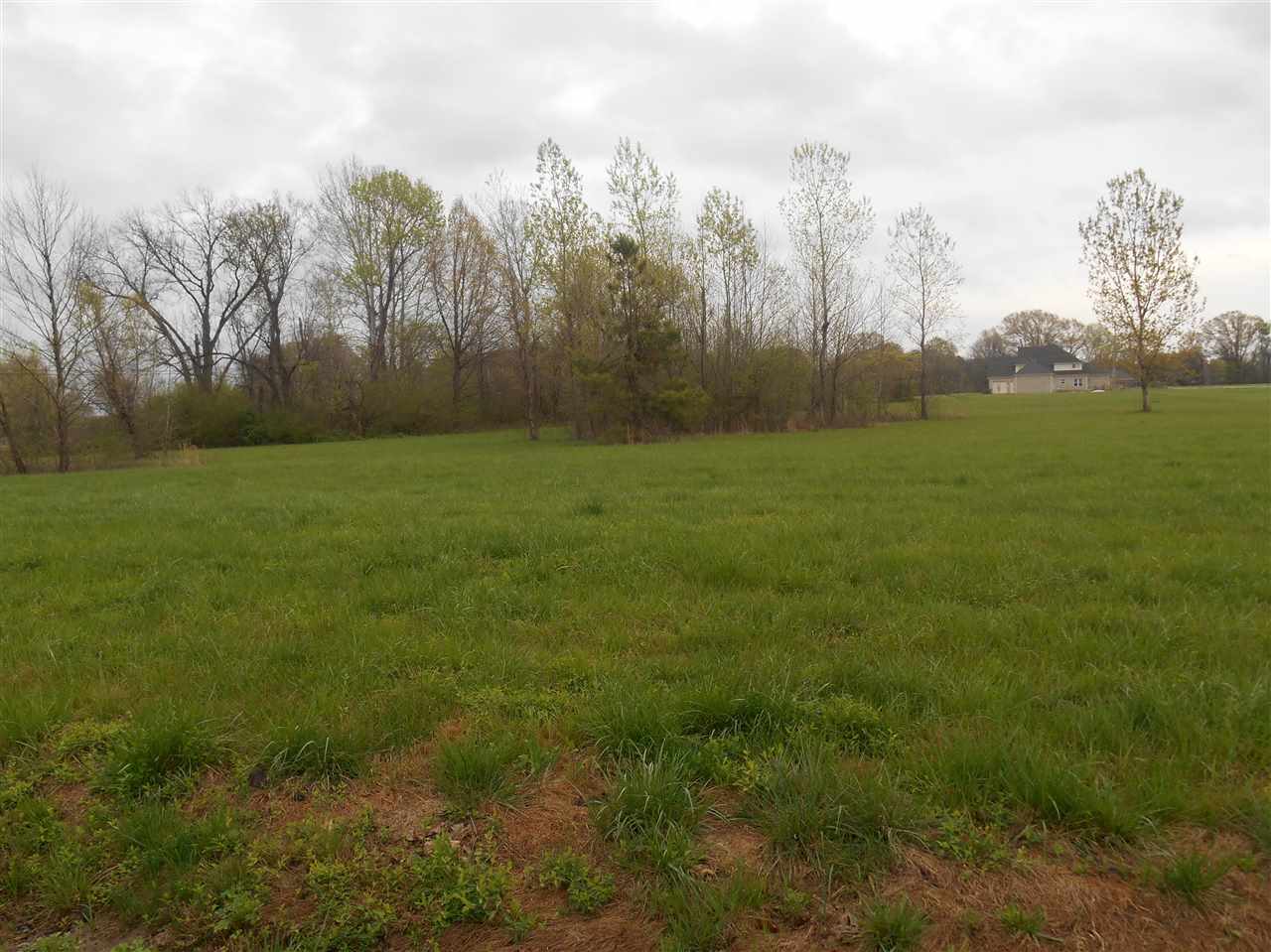 E Donnell Road Millington, TN 38053 - Photo 1 of 3 Gallery Image 1