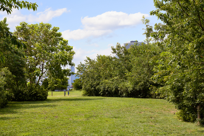 One Brooklyn Bridge Park 360 Furman St, Brooklyn, NY 11201 - Photo 36 of 48