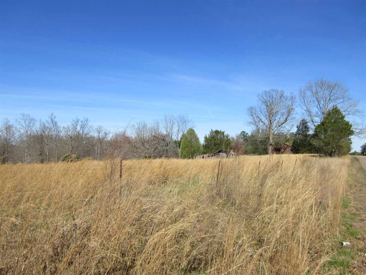 6156 Center Hill Road Finger, TN 38334 - Photo 11 of 14